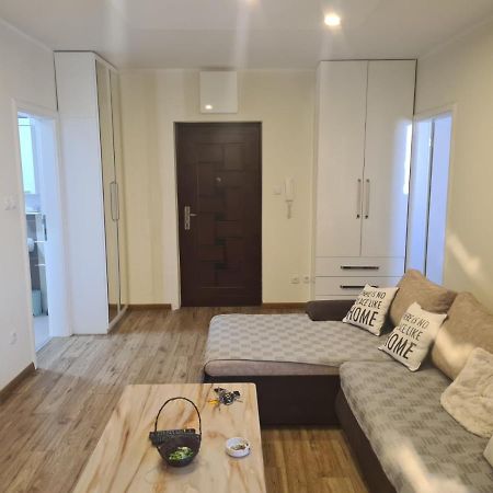 Casa Mia Apartment Novi Sad Bagian luar foto